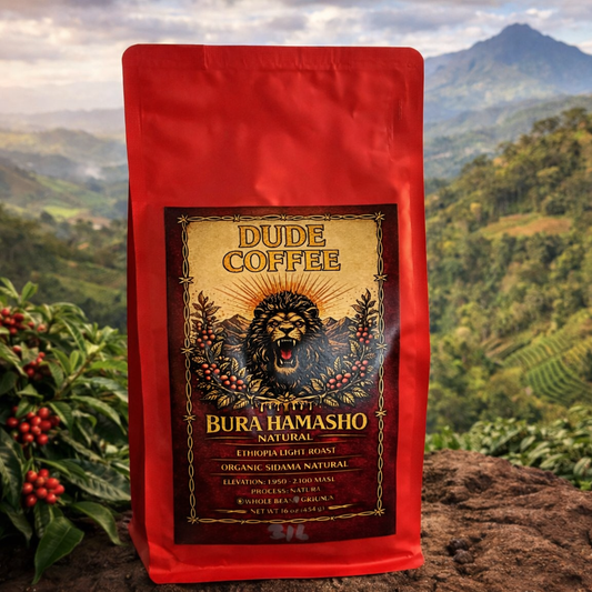 Ethiopia Bura Hamasho Natural
